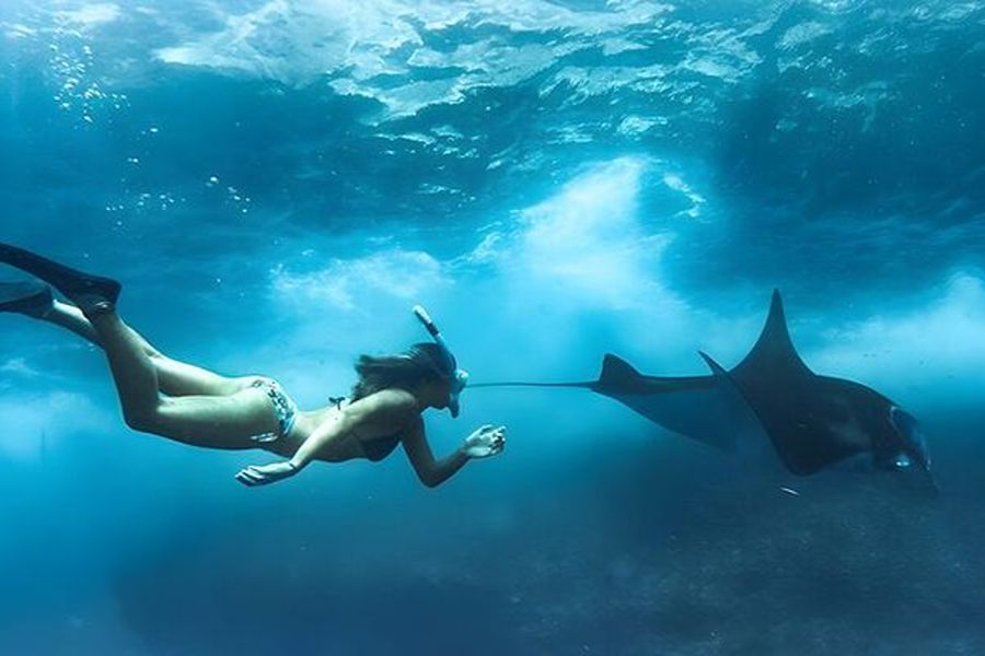 Crystal Bay Nusa Penida snorkeling