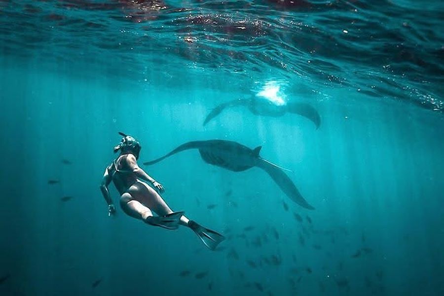 Gamat Bay Nusa Penida snorkeling