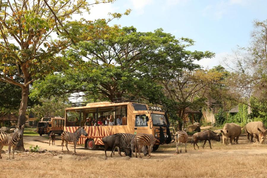 bali safari and marine park 1