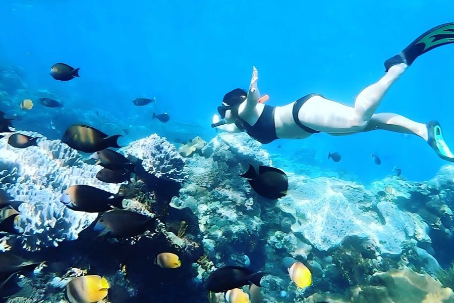 snorkeling-in-wall-point