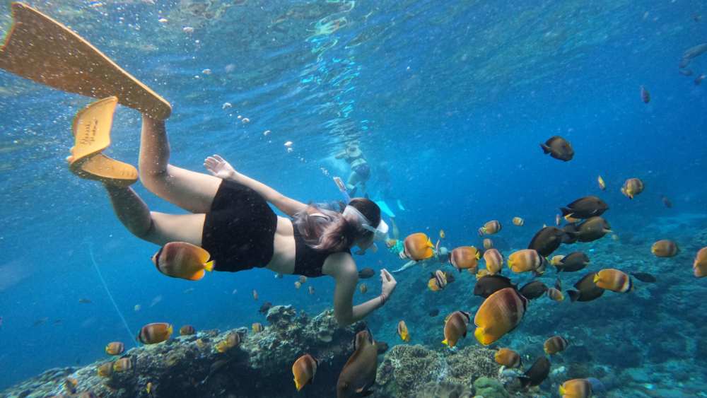 mangrove point nusa lembongan